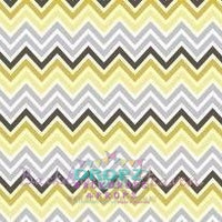 Backdrop - Wild Aztec Chevron