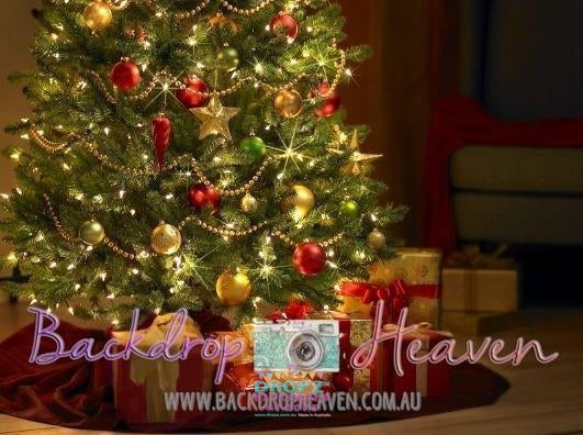 Backdrop - Xmas Christmas 30