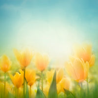 Photography Backdrop - Yellow Tulips Flowers