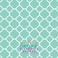 Photographic Props - Spearmint Quarterfoil Lattice